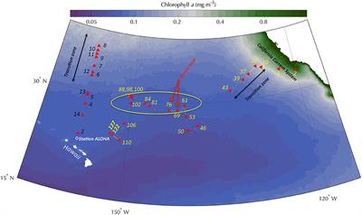 Spatial and Temporal Dynamics of Inorganic Phosphate and Adenosine-5′-Triphosphate in the North Pacific Ocean